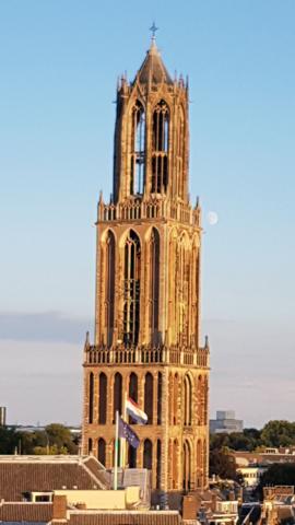Dom